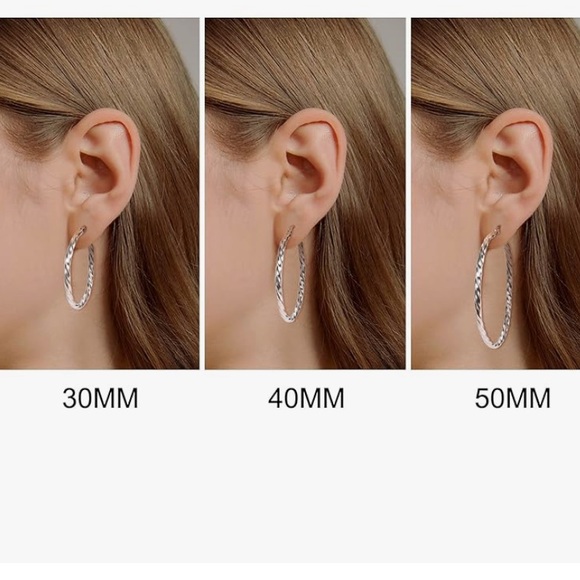 Stainless Steel Twisted Hoop Earrings NWT - Picture 4 of 5